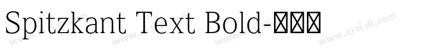 Spitzkant Text Bold字体转换 Spitzkant Text Bold字体转换